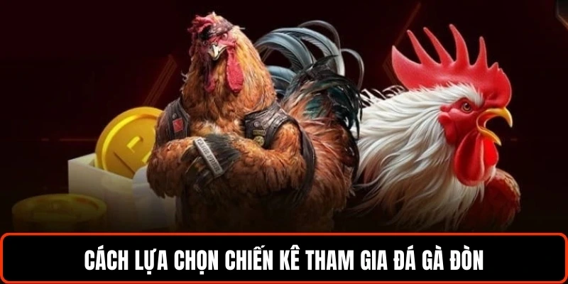 Cách lựa chọn chiến kê tham gia đá gà đòn