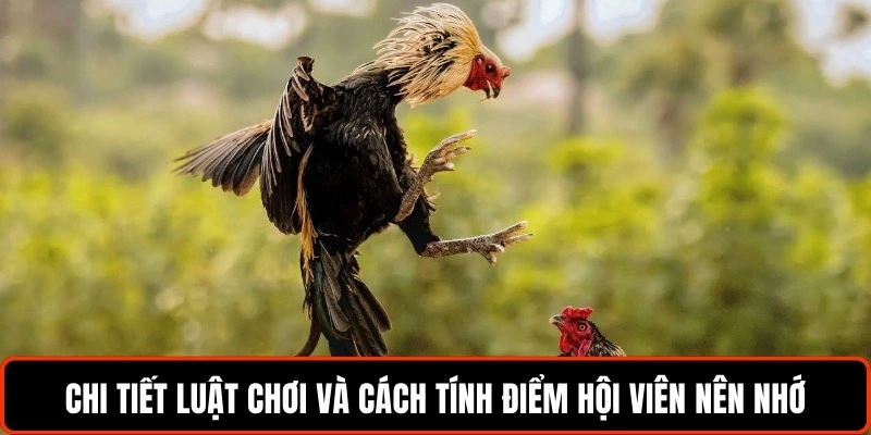 Chi tiết luật chơi và cách tính điểm hội viên nên nhớ