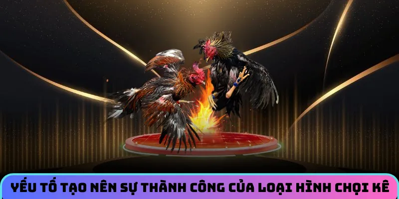 Yếu tố tạo nên sự thành công của loại hình chọi kê