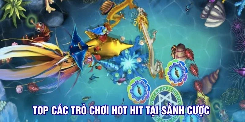 Top các trò chơi hot hit tại sảnh cược 